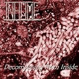Decomposing from Inside