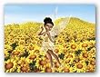 Iridessa: Star Pupil by Walt Disney 12"x16" Art Print Poster Disney