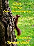 Ein Tag im Sommer