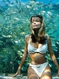 Model Frederique Van Der Wal Wearing Bathing Suit with Aquarium Background Stretched Canvas Poster Print by Gene Gale, 24x32