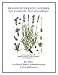HEALING POWERS OF LAVENDER Pure Essential Oil - The Universal Healer (The Aromatherapy Professional: Healing with Essential Oils)