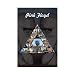 Pink Floyd ~ Classic Rare Giant Poster Print ~All the Album Covers Including ~ Dark Side of the Moon and More ~ Approx 40 X 60 Inches