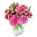 Jump for Joy Bouquet