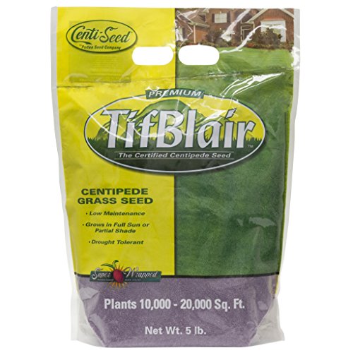 Tifblair Centipede Grass Seed (5 Lb.) Direct From the Farm Tifblair Centipede Grass Seed (5 Lb.) Direct From the Farm