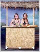 Portable Tiki Bar - Commercial Package with Custom Carry Bags