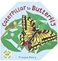Caterpillar to Butterfly (Fold Out and Find Out)