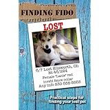 finding fido practical steps for finding your lost pet