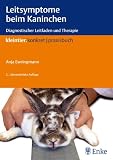 Leitsymptome beim Kaninchen: Diagnostischer Leitfaden und Therapie