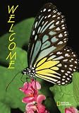 National Geographic by New Creative - Butterfly Garden Impressions Flag