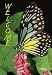 National Geographic by New Creative - Butterfly Garden Impressions Flag