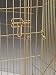 Kitchen & Housewares : Midwest Gold-Zinc 36-Inch-High Indoor/Outdoor Exercise Pet Pen