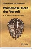 Wirbellose Tiere der Vorzeit