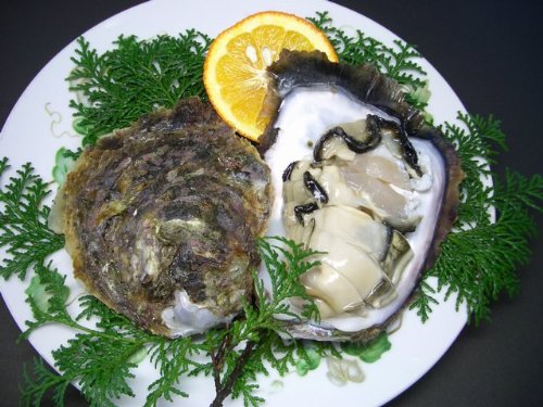 天草天領・岩牡蠣１５００ｇ（５～７個）★2012年