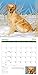 Turner Golden Retrievers 2016 Wall Calendar (8940022)
