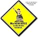 MY NEW BOSS LOOKS KINDA FAMILIAR Car or Office Sign, Novelty Work Employement Sign