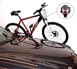 Bruns Wall Mounted Bicycle/Bike Storage Hook or Hanger