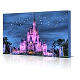 PINK STARCASTLE Stunning A1 Gallery Framed Canvas Art Print Ready To Hang NEW USA United States Of America Florida France Paris