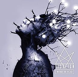 WITHIN THE VOID -LIMITED EDITION-