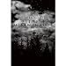 Nocturno Culto: The Misanthrope