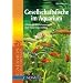 Gesellschaftsfische im Aquarium: Alles rund um Artenauswahl und Aquariengestaltung