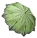 Galleria Palm Tree Folding Umbrella (Palm Tree) Galleria Palm Tree Folding Umbrella (Palm Tree)
