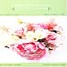 Flowers for Mom Volume 7