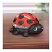 Little Cutie Porcelain Ladybug Music Box: Unique Music Box Gift