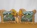 Grand Teton Eagle 16" Throw Pillow Set