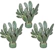 THREE 18" Beavertail Artificial Cactus Desert Plants