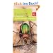 Insekten: Entdecken und erkennen