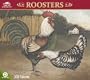 2011  Roosters  Wall Calendar