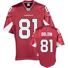 #81 anquan boldin outfits for youth