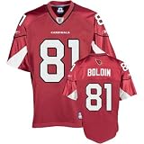 Cardinals Reebok Men's NFL Team Color Replica Jersey