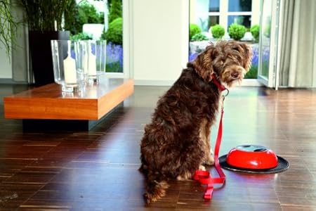 Best deals of  Vileda Virobi system