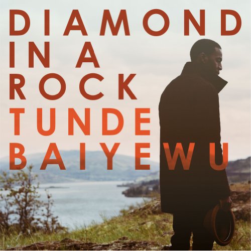 Tunde Baiyewu - Diamond In A Rock - Zortam Music