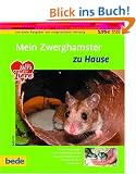 Zwerghamster, zu Hause
