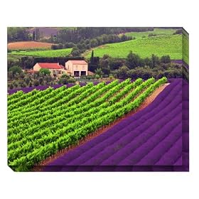 Blue Garden Designs #63825OD Vignes et Lavande Outdoor Canvas Art, 40-inch-by-30-inch by 