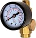 Tools & Hardware : Pro-Grade Brass Inline Air Regulator with Easy-Read Gauge - 160 PSI