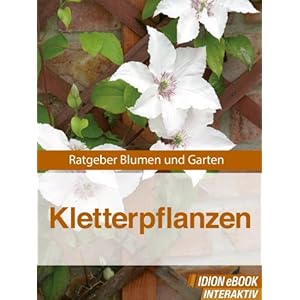 Kletterpflanzen - Ratgeber Blumen und Garten