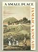 A Small Place
