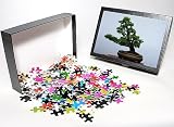 Photo Jigsaw Puzzle of PPG-1578 Shakan style - Bonsai 5 needles pine from Ardea Wildlife Pets
