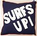 Catch a Wave Surfs Up Pillow