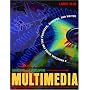 Designing and Developing Multimedia: A Practical Guide for the Producer, Director, and Writer