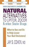 Natural Alternatives to Lipitor, Zocor & Other Statin Drugs: What to Use And Do to Help Lower Your Bad Cholesterol (Square One Health Guides)