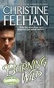 Burning Wild (Leopard)