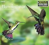 2013 Hummingbirds Wall  Calendar