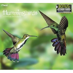 Hummingbird Calendar 51fgMG0SG8L. SL500 AA300 Hummingbird Calendar