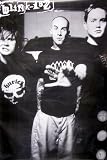 Blink 182 - Here Take This - Mark Tom Travis 25x36 Poster