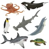 Wild Safari  Wonders of the Ocean