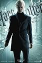 Harry Potter and the Half-Blood Prince - Movie Poster - 11 x 17